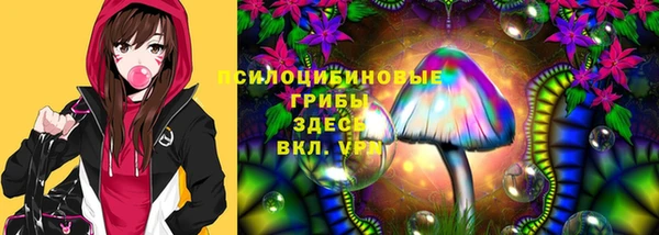 apvp Лихославль