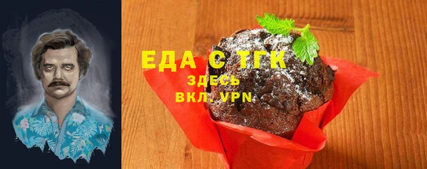 индика Россошь