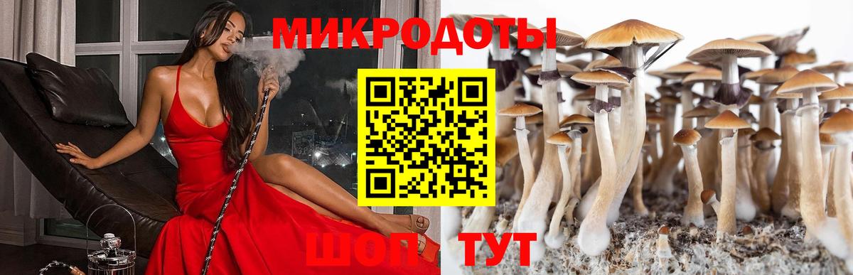 Псилоцибиновые грибы ЛСД  Вход с VPN  Псилоцибиновые грибы прущие грибы  Нижний Тагил 